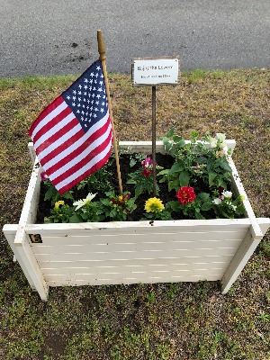 Downtown Beautification Committee Flower Box